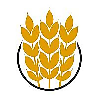 Pasta Class Florence Blog