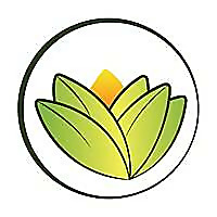 The Ayurveda Experience Blog