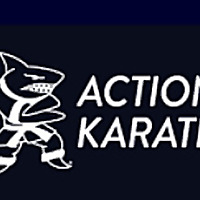Action Karate Blog