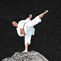 Shotokan Karate Blog