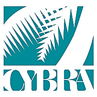 CYBRA Blog