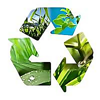 Time to Recycle Blog