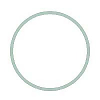 Maddalena Bearzi Blog