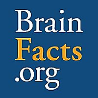 BrainFacts