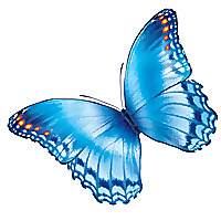 Nationwide Children's Hospital &raquo; Physical Therapy Blog