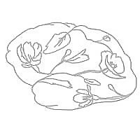 Glioblastoma Research Organization