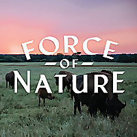 Force of Nature Meats Blog