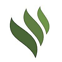 Satthwa &raquo; Essential Oils