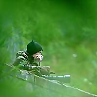 Karen Miller Wildlife photography blog