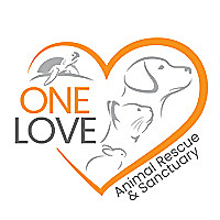 One Love Animal Blog