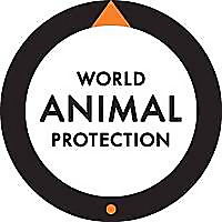 World Animal Protection Blog