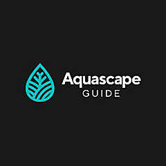 Aquascape Guide Blog