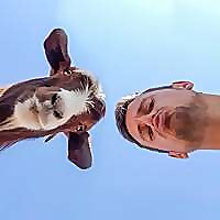 Dan Flying Solo &raquo; Islands