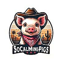 SoCalMiniPigs Blog