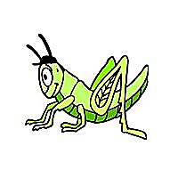 The Grasshopper Landscaping Blog