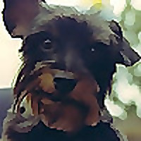 nmgastronome.com &raquo; Filipino