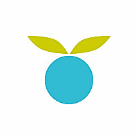 Huckleberry Care Blog &raquo; Solid