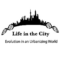 Life in the City