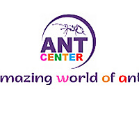 AntCenter Blog