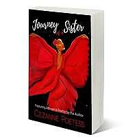 Journey of a Sister