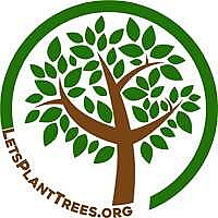 Let's Plant Trees Blog