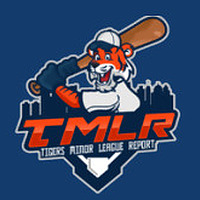 Tigers Minor League Report
