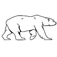 Polar Bear AC Blog