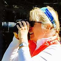 Traveling Tastes Blog