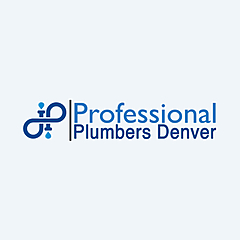 Professional Plumbers Denver Blog