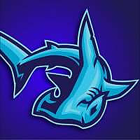 Hammerhead Roofing Blog