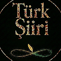 T&uuml;rk Şiiri
