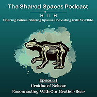The Shared Spaces Podcast