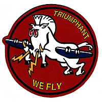 Triumphant We Fly