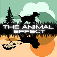 The Animal Effect