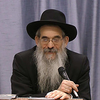 Sotah - Rabbi Berel Bell