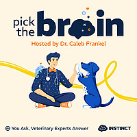 Instinct Pick the Brain Podcast