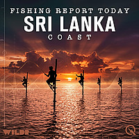 Sri Lanka, Coast Fishing Report Today