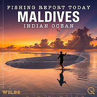 Maldives, Indian Ocean Fishing Report Today