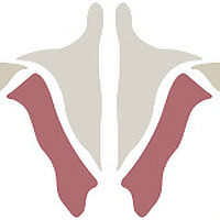 Institute of Human Anatomy Blog