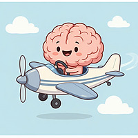 Plane Brain: The Pilot License Study Guide