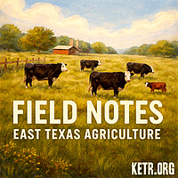 Field Notes: East Texas Agriculture