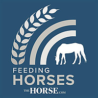 Feeding Horses