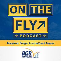 On the Fly