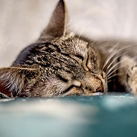 Sleep Whilst You Sleep | Deep Sleep Music & Ambient Soundscapes