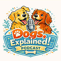 Dogs, Explained!