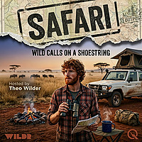 Safari