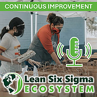 Lean Six Sigma Ecosystem: Continuous Improvement