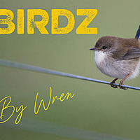 Birdznerdz