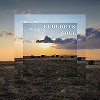 Ecology & Soul