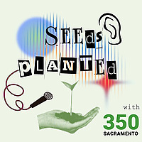 Seeds Planted with 350 Sacramento